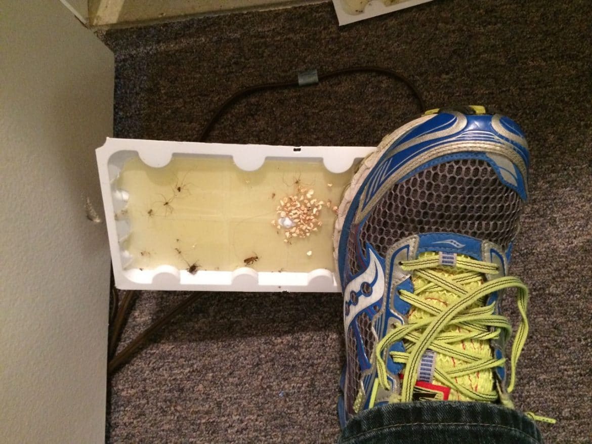 How To Remove Glue Trap From Shoe Share Your Repair